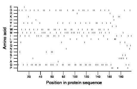 amino acid map