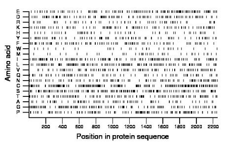 amino acid map