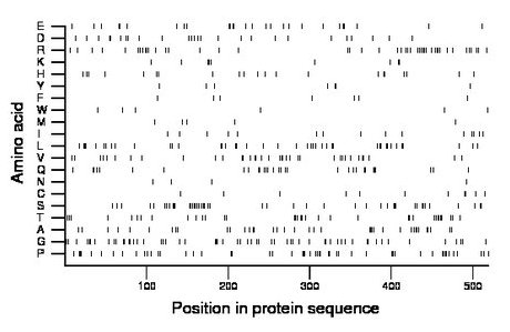 amino acid map