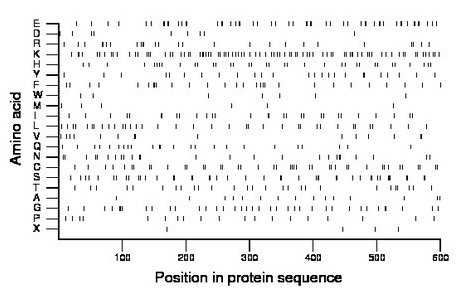 amino acid map