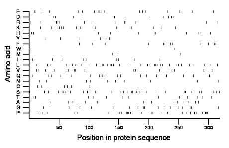 amino acid map