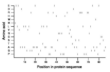 amino acid map