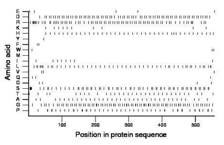 amino acid map