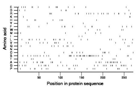 amino acid map