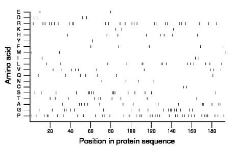 amino acid map