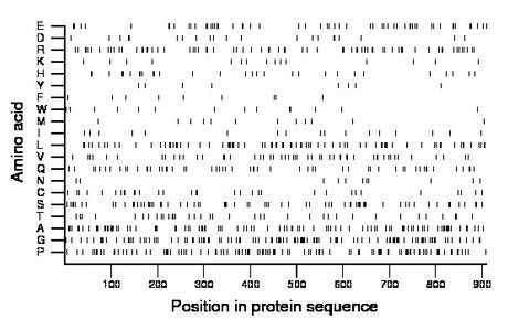 amino acid map