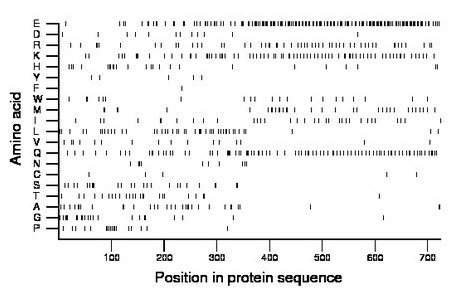 amino acid map