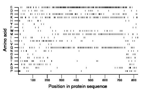 amino acid map