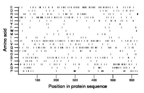 amino acid map