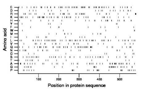 amino acid map