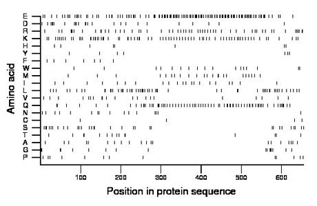 amino acid map