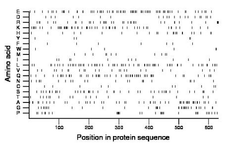 amino acid map