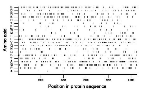 amino acid map