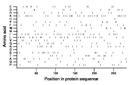 amino acid map