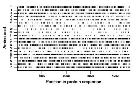 amino acid map