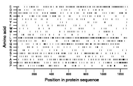 amino acid map