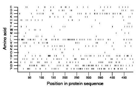 amino acid map