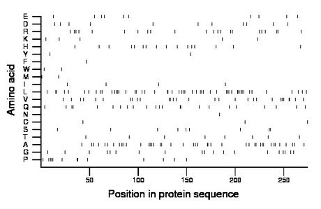 amino acid map