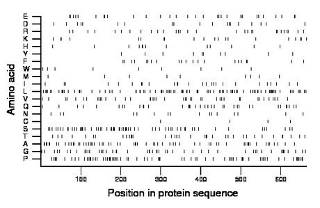 amino acid map