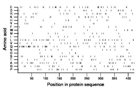 amino acid map