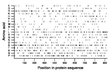 amino acid map