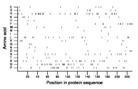 amino acid map