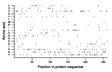 amino acid map