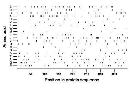 amino acid map