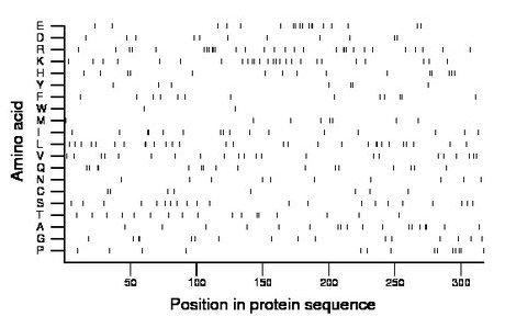 amino acid map