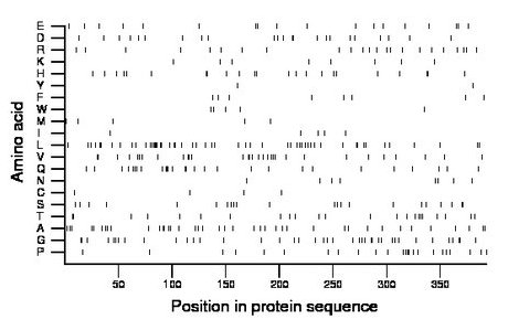 amino acid map