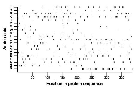 amino acid map