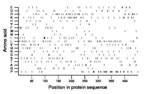 amino acid map