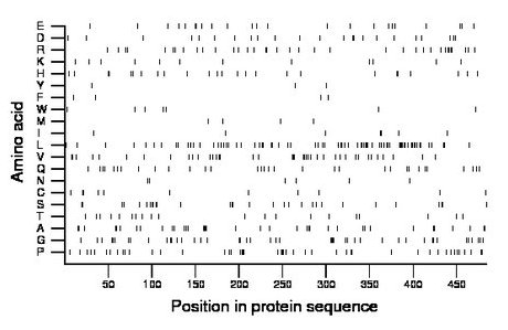 amino acid map