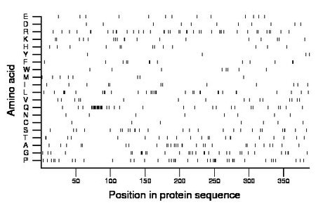 amino acid map