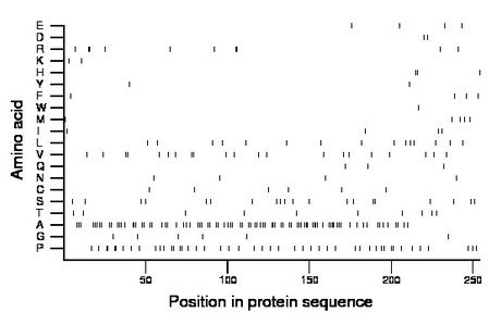 amino acid map