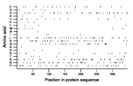 amino acid map