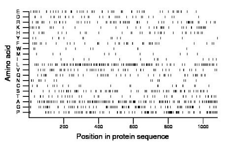 amino acid map