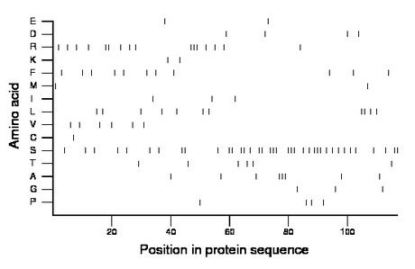 amino acid map