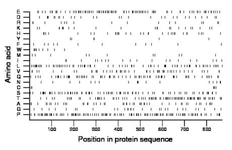 amino acid map