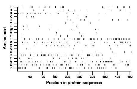 amino acid map