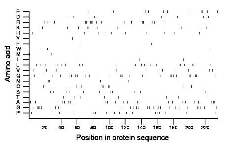 amino acid map