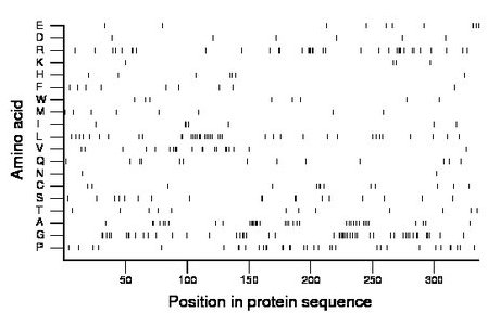 amino acid map