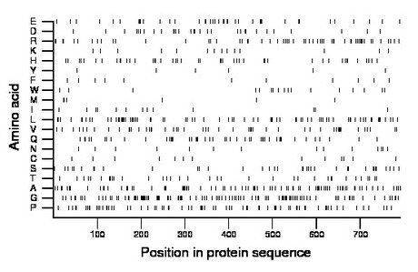 amino acid map