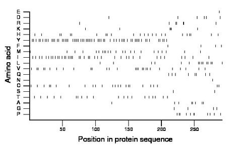 amino acid map