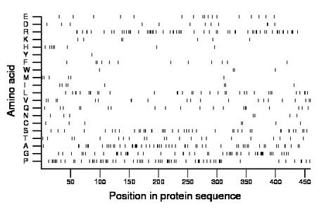 amino acid map