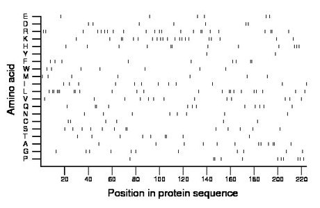 amino acid map