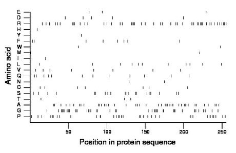 amino acid map