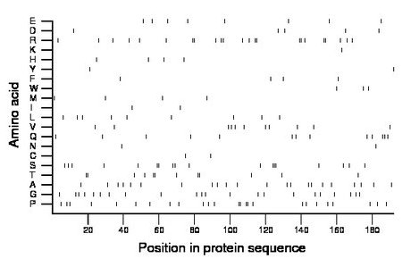 amino acid map