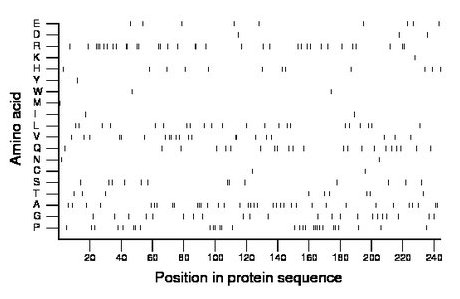 amino acid map