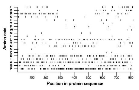 amino acid map